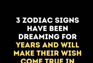 Dreams Come True in January 2025 for These 3 Zodiac Signs