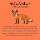 Aquarius Spirit Animal: Fox