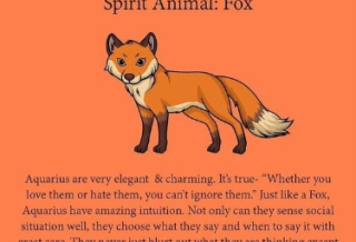 Aquarius Spirit Animal: Fox