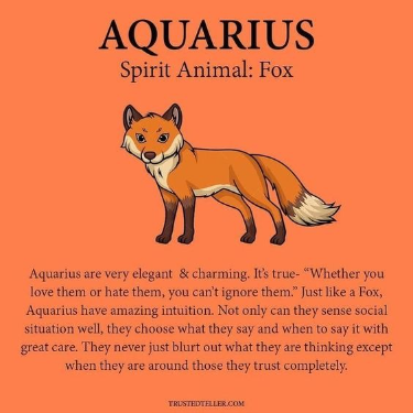 Aquarius Spirit Animal: Fox