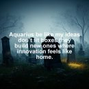Aquarius motivational zodiac meme about aquarius be like my ideas don’t fit boxes they build new ones where innovation f...