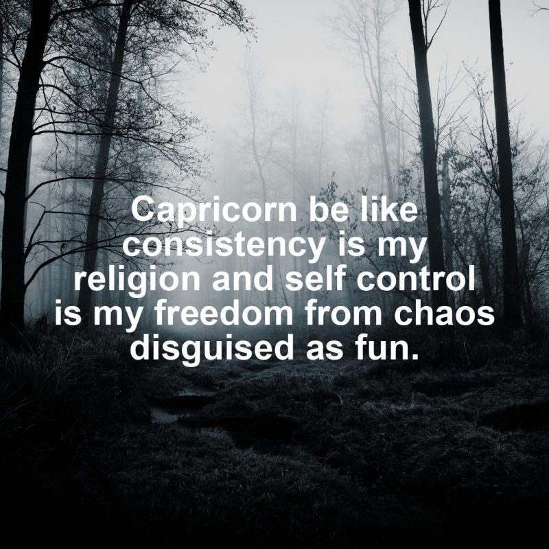 Capricorn Motivational Zodiac Meme
