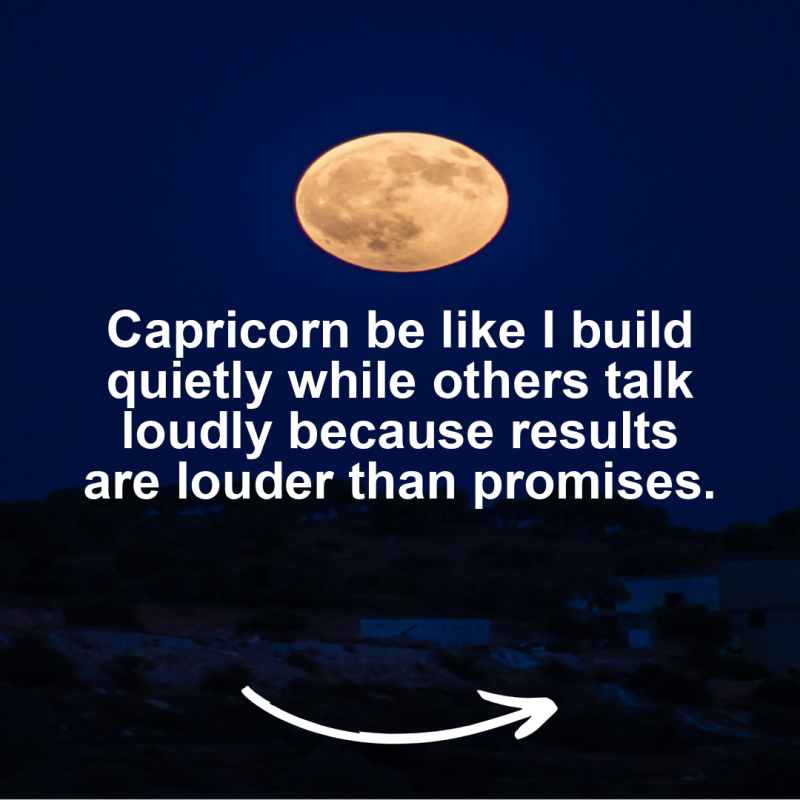Capricorn Meme – Capricorn be like I build quietly while others talk loudly b…