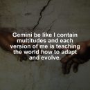 Gemini motivational zodiac meme about gemini be like i contain multitudes and each version of me is teaching the world...