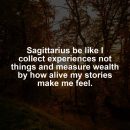 Sagittarius motivational zodiac meme about sagittarius be like i collect experiences not things and measure wealth by how a...